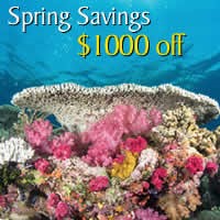 Aggressor Fleet 1000USD Off Liveaboard Diving Deals