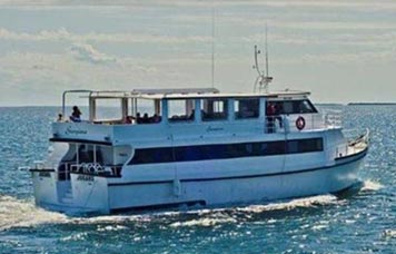 MV Georgiana