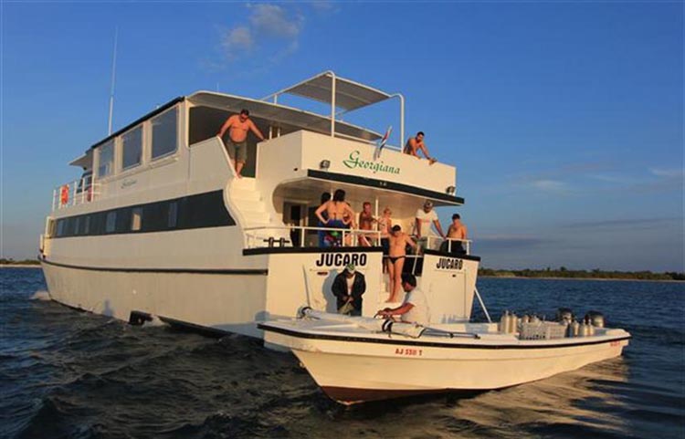 Georgiana Tender