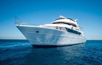 Golden Dolphin II