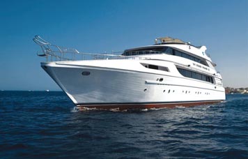 Golden Dolphin III