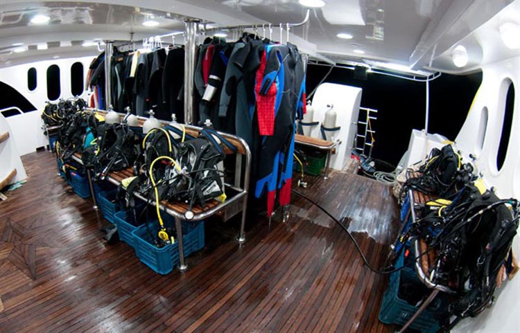 Andromeda Dive Deck
