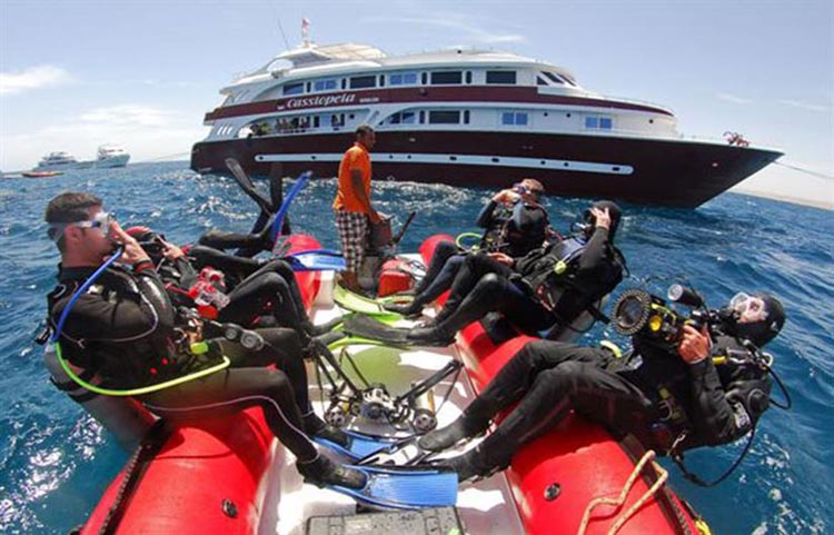 Cassiopeia Tender