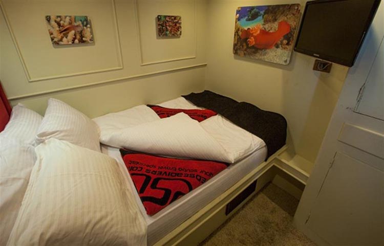 Red Sea Adventurer Cabin