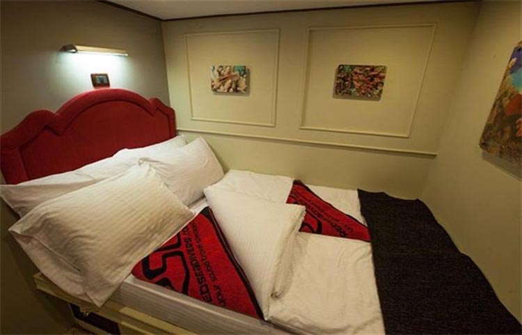 Red Sea Adventurer Double Cabin