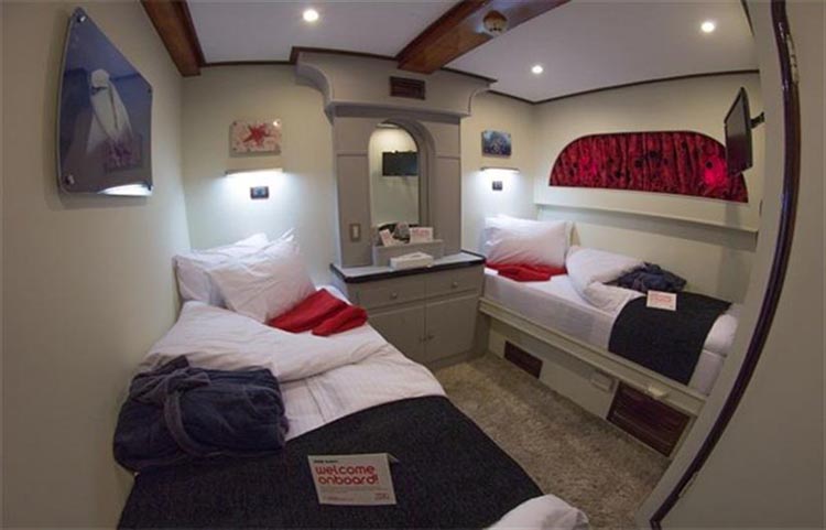 Red Sea Adventurer Twin Cabin