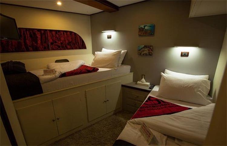 Red Sea Adventurer Twin Cabin