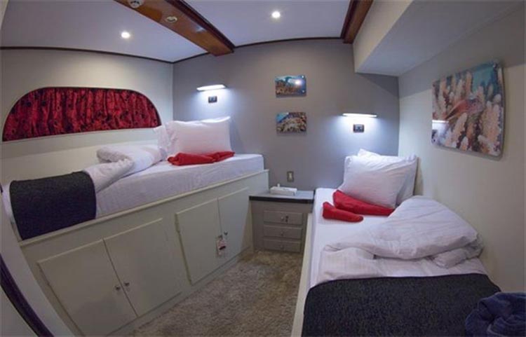 Red Sea Adventurer Twin Cabin