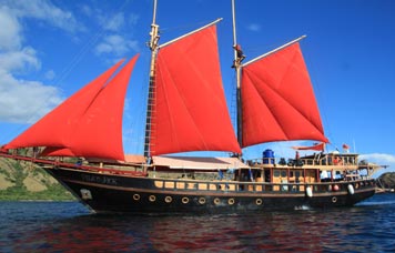 Calico Jack