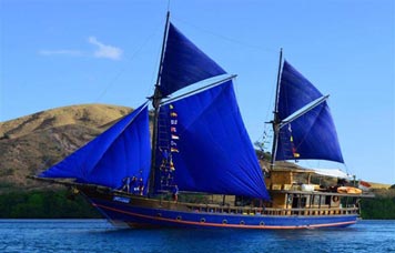 Moana
