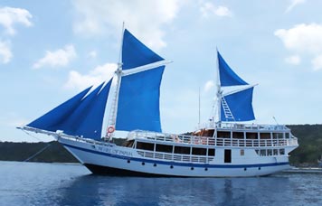 Pearl Of Papua