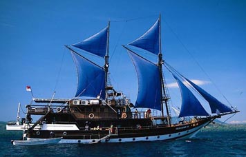 Sea Safari VI