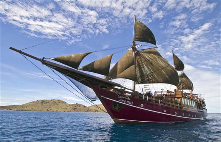Arenui Under Sail