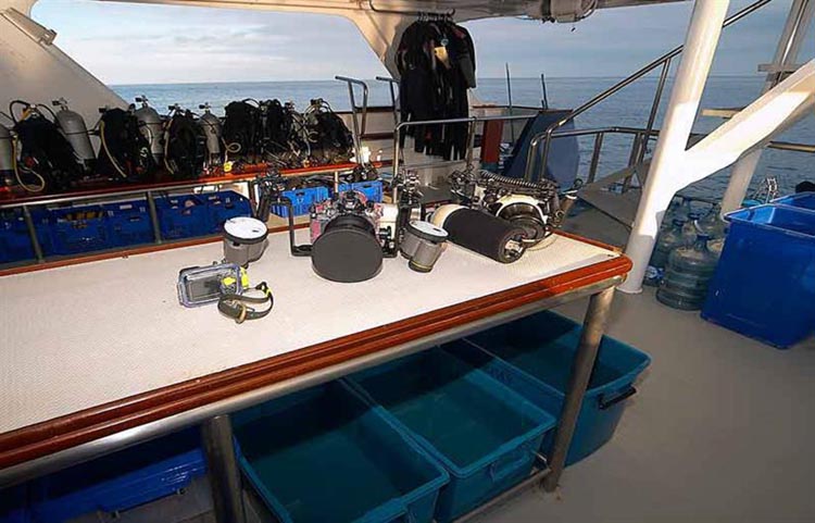 Mermaid I Camera Table