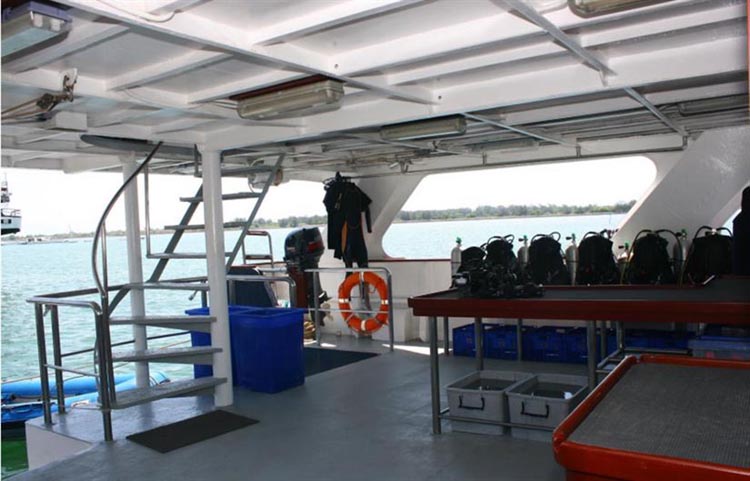 Mermaid I Dive Deck
