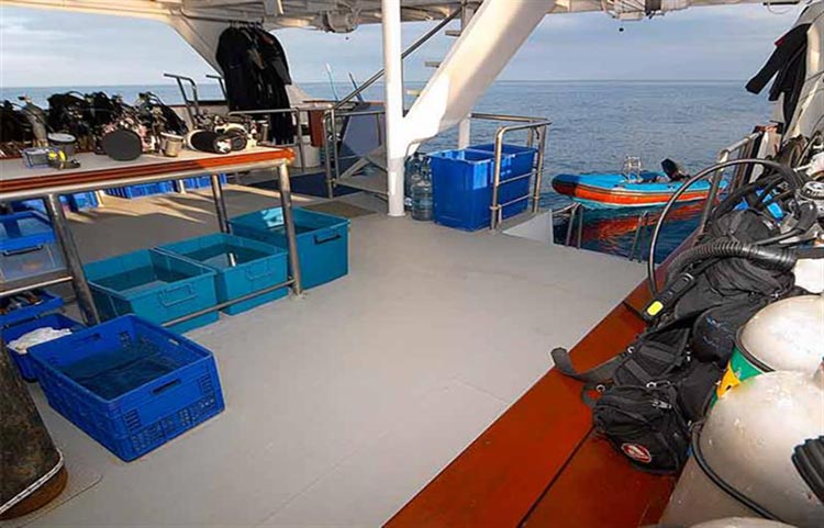 Mermaid I Dive Deck
