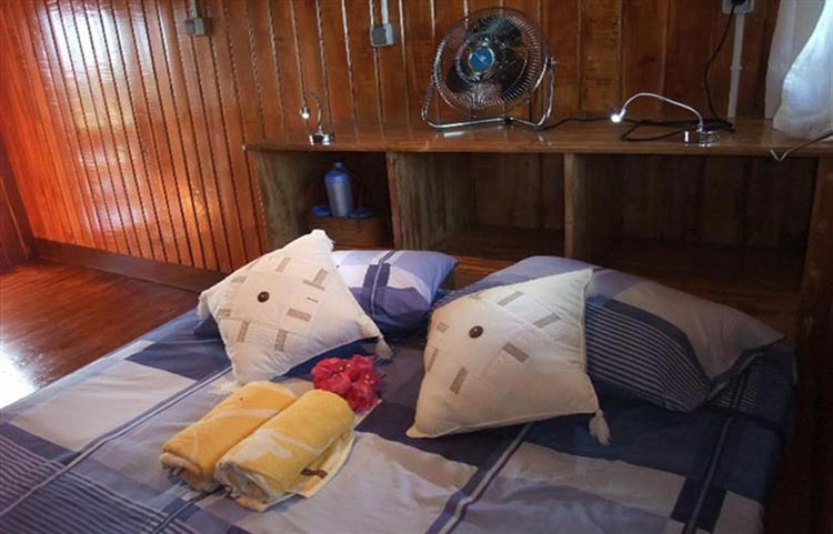 Sunshine Double Cabin