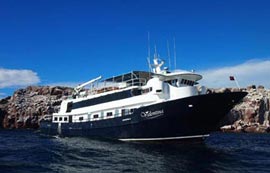 Liveaboard Diving Mexico Socorro Guadalupe