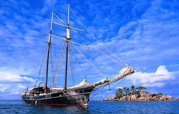 SY Sea Shell
