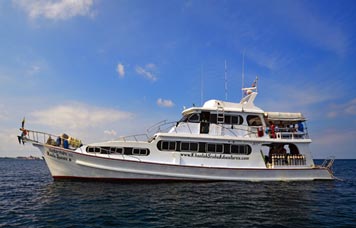 Manta Queen VI