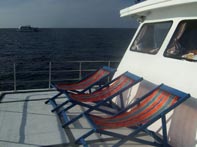 Sea World Deckchairs