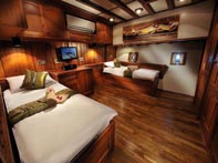 Palau Siren Twin Cabin
