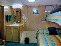 Truk Odyssey Double Cabin