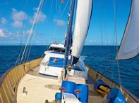 Sea Star Deck